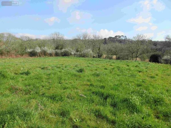 Maison à vendre à Cléden-Cap-Sizun dans le Finistère (29770), ref : 020/3639