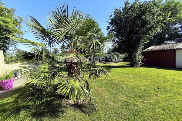 Maison à vendre 6 pièces de 120 m² à Hautmont
