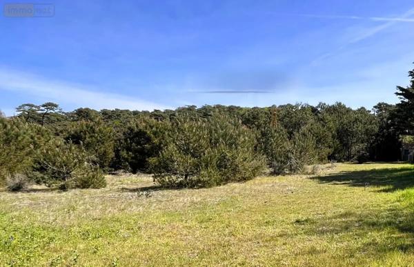 Achat - Terrain à bâtir Saint-Michel-Chef-Chef 44730 967 m 2