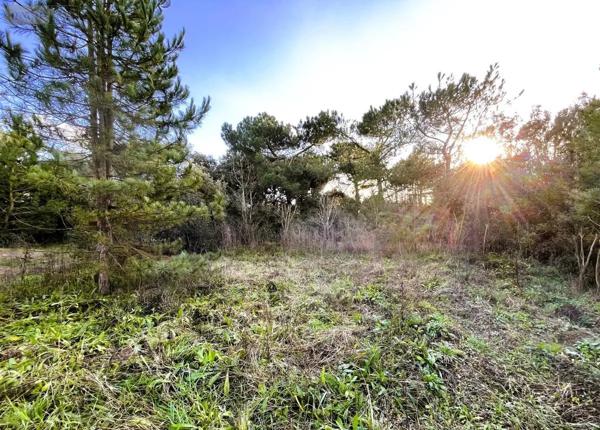 Achat - Terrain à bâtir Saint-Michel-Chef-Chef 44730 967 m 2