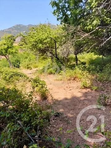 Terrain à vendre  1222 m 2   BARBAGGIO  - 202