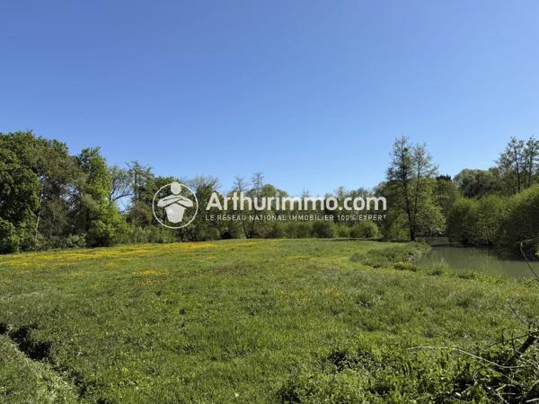 Vente                                                      Terrain
                        
                                         35525 m2                     à Lumigny-Nesles-Ormeaux