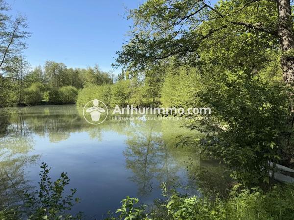Vente                                                      Terrain
                        
                                         35525 m2                     à Lumigny-Nesles-Ormeaux