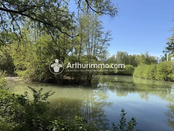 Vente                                                      Terrain
                        
                                         35525 m2                     à Lumigny-Nesles-Ormeaux