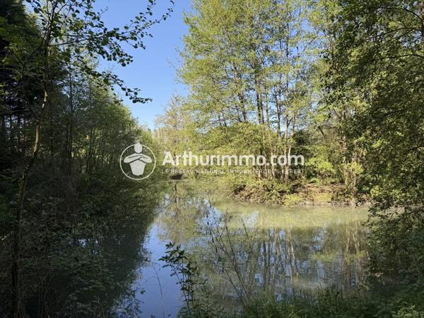 Vente                                                      Terrain
                        
                                         35525 m2                     à Lumigny-Nesles-Ormeaux