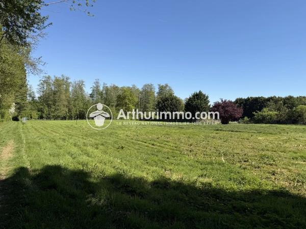 Vente                                                      Terrain
                        
                                         35525 m2                     à Lumigny-Nesles-Ormeaux