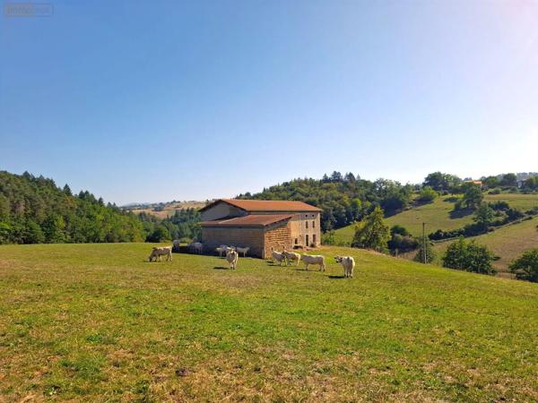 Achat - Maison Saint-Dier-d'Auvergne 63520 3 pièces 130 m 2 56416 m 2