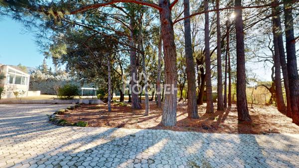 Propriété de charme - 305m² habitables - 5176m² de parc