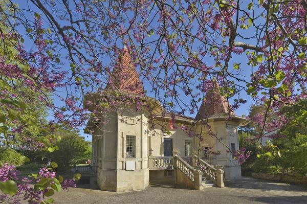 Château - MESCHERS SUR GIRONDE