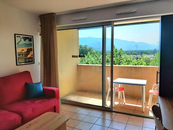 ARGELES SUR MER - Studio côté Montagne Rénové Climatisé