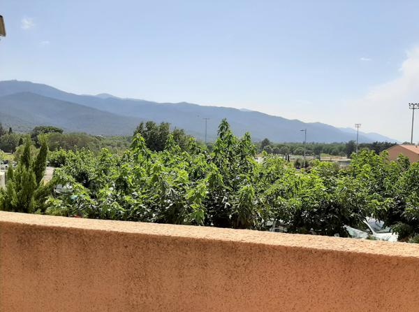 ARGELES SUR MER - Studio côté Montagne Rénové Climatisé