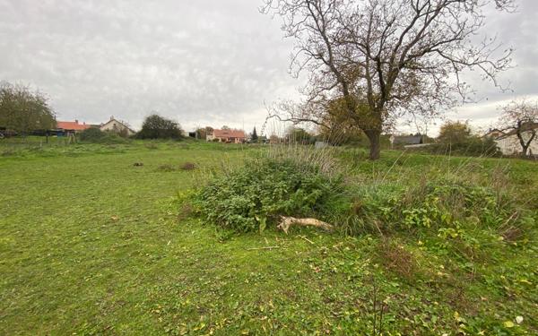 Terrain à vendre    Saint-Léger-des-Vignes