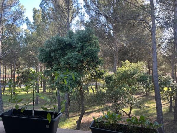 Saumane-de-Vaucluse (84800) SAUMANE DE VAUCLUSE dans résidence sécurisée, au calme joli appartement T2 avec terrasse.