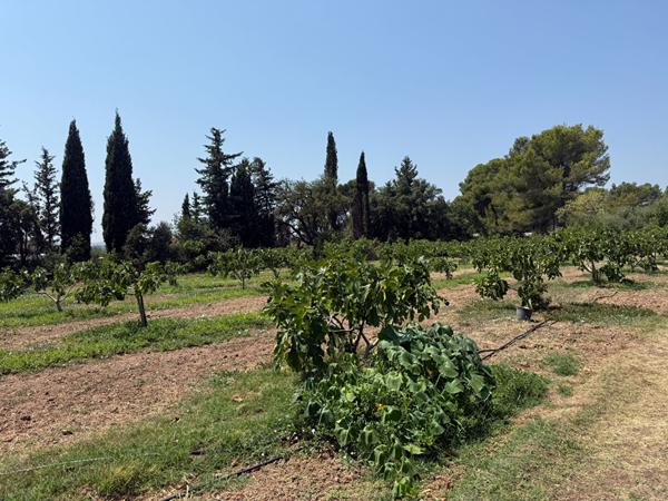 LA FARLÈDE - Propriété de charme de plain-pied avec studio indépendant, piscine et terrain de 10 300 m²