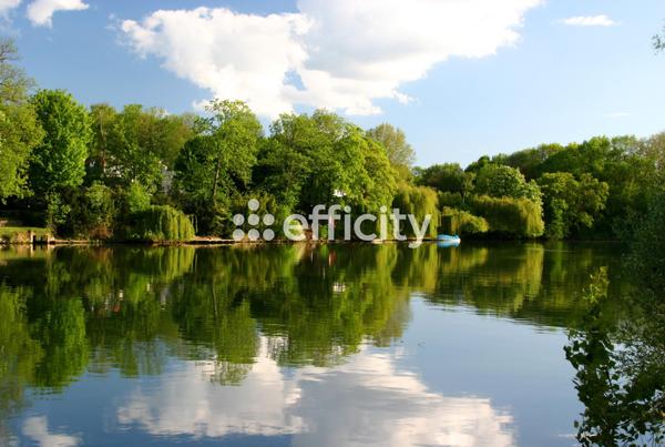 Appartement 2 pièces - 50 m²