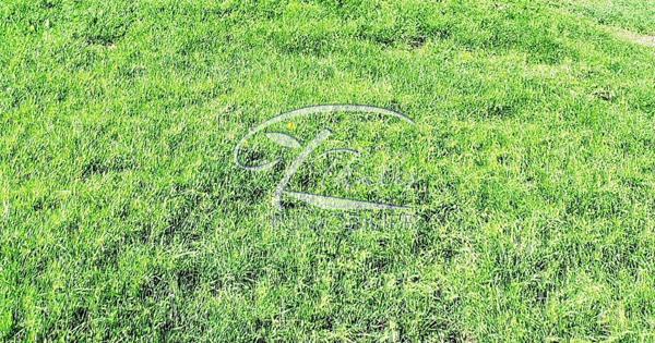 LA LANDE DE FRONSAC CENTRE