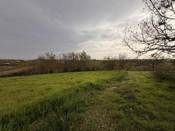 Terrain à vendre |  Pessan |  9886 m²