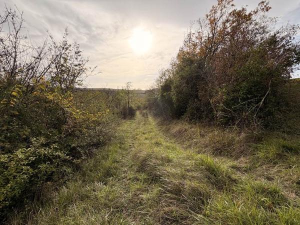 Terrain à vendre |  Pessan |  9886 m²