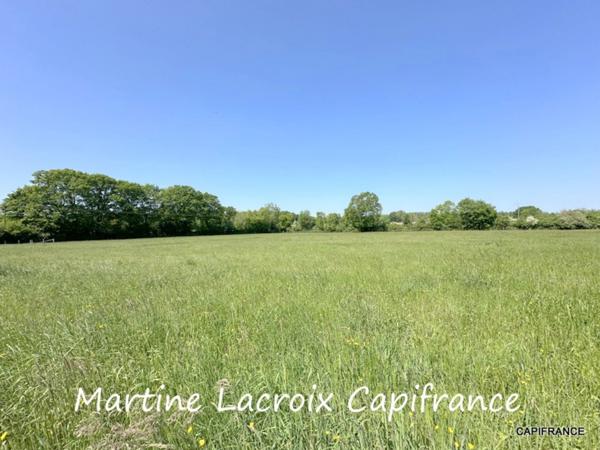 Dpt SARTHE (72), à vendre SAINT GEORGES DU ROSAY - PROPRIÉTÉ  P7 de 163 m² - Terrain de 3,04 Ha