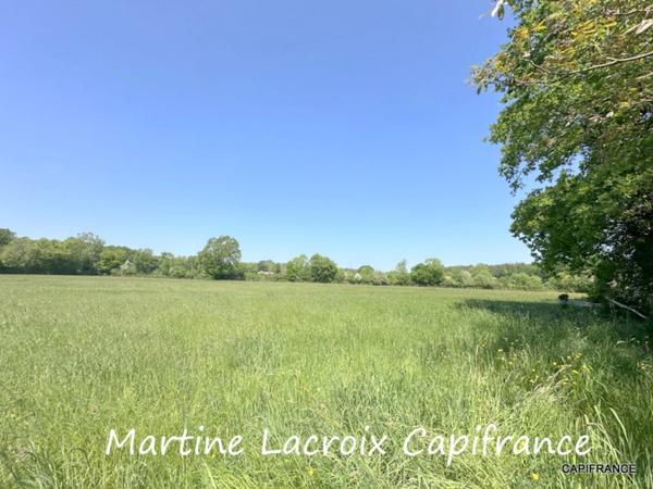 Dpt SARTHE (72), à vendre SAINT GEORGES DU ROSAY - PROPRIÉTÉ  P7 de 163 m² - Terrain de 3,04 Ha