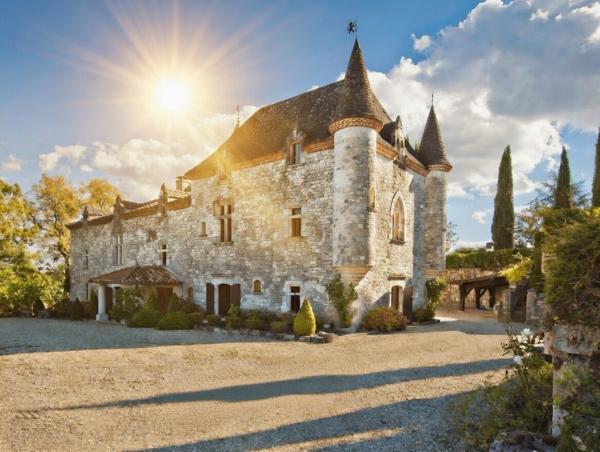 Vente Château Agen 12 Pièces 1000 m²