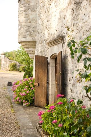 Vente Château Agen 12 Pièces 1000 m²