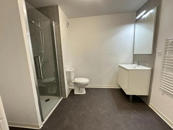 Appartement à louer à Roubaix (59100)