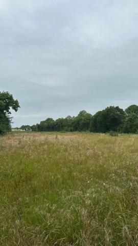 Terrain 318 m2