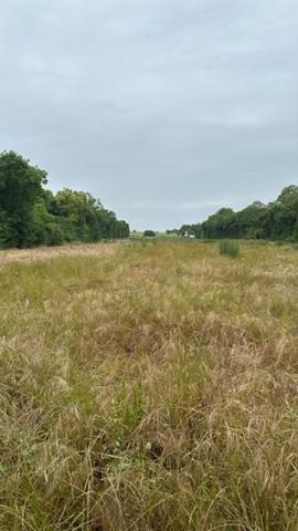 Terrain 318 m2
