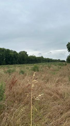 Terrain 318 m2