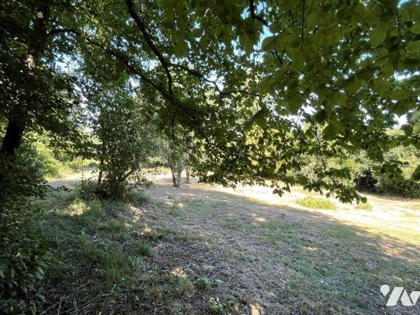 Proche de Marciac (8min) Maison ancienne (mitoyenne) au calme sur 4491m² de terrain.
