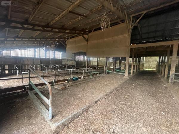 Maison à vendre à Le Grand-Lucé dans la Sarthe (72150), ref : 13816/1181   
CAMPAGNE ET PROCHE CENTRE VILLE