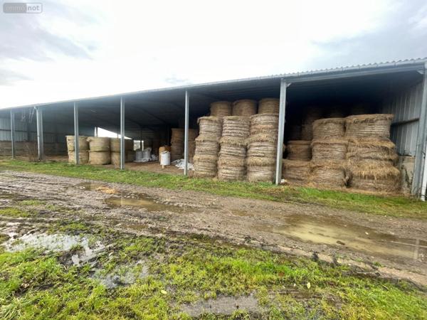 Maison à vendre à Le Grand-Lucé dans la Sarthe (72150), ref : 13816/1181   
CAMPAGNE ET PROCHE CENTRE VILLE