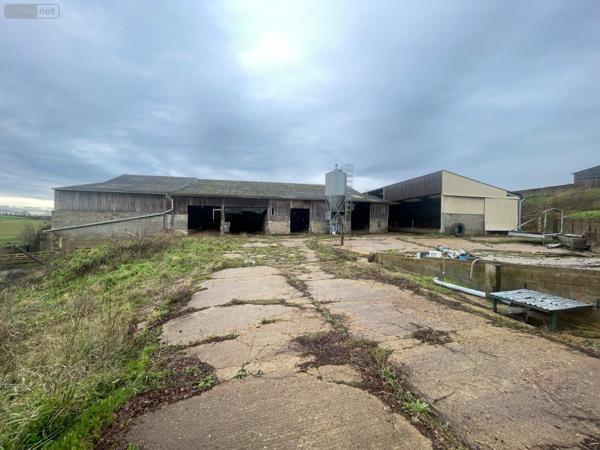 Maison à vendre à Le Grand-Lucé dans la Sarthe (72150), ref : 13816/1181   
CAMPAGNE ET PROCHE CENTRE VILLE