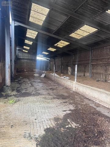 Maison à vendre à Le Grand-Lucé dans la Sarthe (72150), ref : 13816/1181   
CAMPAGNE ET PROCHE CENTRE VILLE