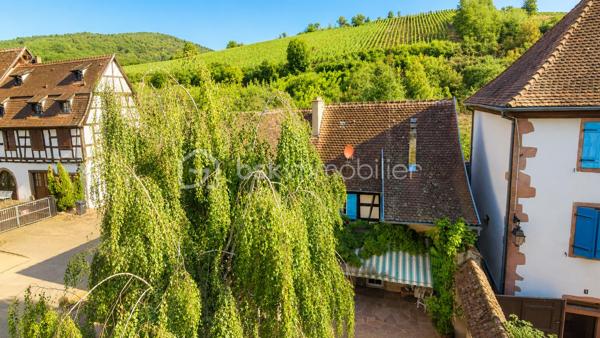 À découvrir à Riquewihr, au cœur de l’un des plus beaux villages d’Alsace !

Situé dans un secteur privilégié, en bordure des fortifications et avec une belle vue sur les vignes, cet ensemble immobilier offre un potentiel particulièrement intéressant et une configuration rare sur le secteur.

Édifié sur une parcelle d’environ 371 m², le bien se compose de deux maisons de village indépendantes, représentant environ :

150 m² pour la première maison
120 m² pour la seconde maison

Soit environ 270 m² habitables au total, avec de nombreuses pièces et possibilités d’aménagement à découvrir.

⭐ Un véritable atout à Riquewihr : garages et stationnements

La propriété dispose de deux garages, ainsi que de plusieurs possibilités de stationnement dans la cour privative.

Un confort particulièrement appréciable et rare à Riquewihr !

L'accès à la propriété est facile tout en bénéficiant d'un emplacement recherché, à proximité du cœur historique du village.

🏠 Un bien aux multiples possibilités

Cette propriété conviendra parfaitement à différents projets :

Grande propriété familiale, résidence principale avec une seconde maison destinée à la location, projet de location saisonnière ou touristique (*Avec accord de la mairie), rapprochement familial, investissement ou encore projet professionnel sous réserve des autorisations nécessaires.

La configuration des deux maisons permet d'imaginer de nombreux projets tout en conservant deux espaces distincts.

Vous découvrirez également une ancienne cave à vin, témoin du caractère et de l'histoire de cette propriété alsacienne.

🔥 Caractéristiques

L'une des maisons est équipée d'un chauffage au fioul, tandis que la seconde dispose d'un chauffage électrique.

Les deux habitations bénéficient également d'un conduit de cheminée, offrant des possibilités d'évolution du mode de chauffage. Un poêle en faïence vient compléter le charme de l'ensemble.

DPE : F. Des travaux sont à prévoir, notamment afin d'améliorer les performances énergétiques du bien.

❤️ Ce que l'on aime

Deux maisons sur une même propriété, environ 270 m² habitables, deux garages, stationnements privatifs, vue sur les vignes, proximité des fortifications et potentiel exceptionnel : une opportunité rare à Riquewihr.

Un bien qui mérite d'être découvert sur place pour apprécier pleinement ses volumes, son caractère et toutes les possibilités qu'il offre.

Prix : 425.000 €

📞06.75.95.64.60 Contactez-moi pour obtenir davantage de renseignements ou organiser une visite.