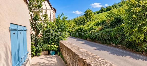 À découvrir à Riquewihr, au cœur de l’un des plus beaux villages d’Alsace !

Situé dans un secteur privilégié, en bordure des fortifications et avec une belle vue sur les vignes, cet ensemble immobilier offre un potentiel particulièrement intéressant et une configuration rare sur le secteur.

Édifié sur une parcelle d’environ 371 m², le bien se compose de deux maisons de village indépendantes, représentant environ :

150 m² pour la première maison
120 m² pour la seconde maison

Soit environ 270 m² habitables au total, avec de nombreuses pièces et possibilités d’aménagement à découvrir.

⭐ Un véritable atout à Riquewihr : garages et stationnements

La propriété dispose de deux garages, ainsi que de plusieurs possibilités de stationnement dans la cour privative.

Un confort particulièrement appréciable et rare à Riquewihr !

L'accès à la propriété est facile tout en bénéficiant d'un emplacement recherché, à proximité du cœur historique du village.

🏠 Un bien aux multiples possibilités

Cette propriété conviendra parfaitement à différents projets :

Grande propriété familiale, résidence principale avec une seconde maison destinée à la location, projet de location saisonnière ou touristique (*Avec accord de la mairie), rapprochement familial, investissement ou encore projet professionnel sous réserve des autorisations nécessaires.

La configuration des deux maisons permet d'imaginer de nombreux projets tout en conservant deux espaces distincts.

Vous découvrirez également une ancienne cave à vin, témoin du caractère et de l'histoire de cette propriété alsacienne.

🔥 Caractéristiques

L'une des maisons est équipée d'un chauffage au fioul, tandis que la seconde dispose d'un chauffage électrique.

Les deux habitations bénéficient également d'un conduit de cheminée, offrant des possibilités d'évolution du mode de chauffage. Un poêle en faïence vient compléter le charme de l'ensemble.

DPE : F. Des travaux sont à prévoir, notamment afin d'améliorer les performances énergétiques du bien.

❤️ Ce que l'on aime

Deux maisons sur une même propriété, environ 270 m² habitables, deux garages, stationnements privatifs, vue sur les vignes, proximité des fortifications et potentiel exceptionnel : une opportunité rare à Riquewihr.

Un bien qui mérite d'être découvert sur place pour apprécier pleinement ses volumes, son caractère et toutes les possibilités qu'il offre.

Prix : 425.000 €

📞06.75.95.64.60 Contactez-moi pour obtenir davantage de renseignements ou organiser une visite.