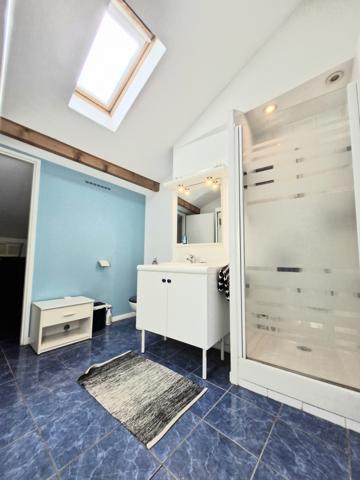 BRON PLEIN CENTRE APPARTEMENT DUPLEX 136 M² CARREZ