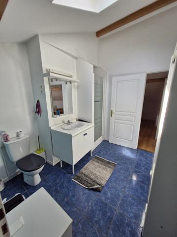 BRON PLEIN CENTRE APPARTEMENT DUPLEX 136 M² CARREZ