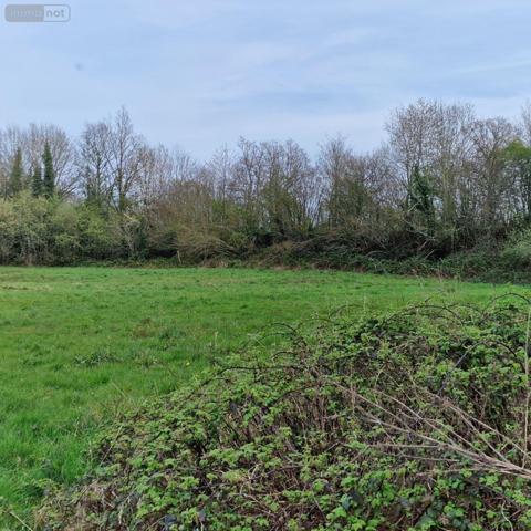 Maison rurale à vendre à Pré-en-Pail-Saint-Samson en Mayenne (53140), ref : 12725/767