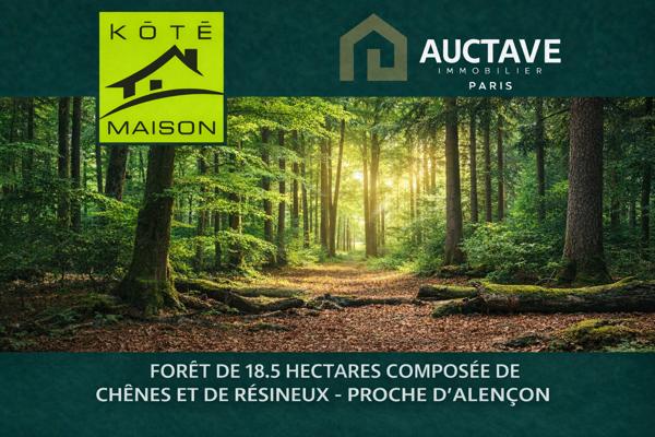 FORET DE 18.5 HECTARES - ENTRE LE MANS ET ALENCON , Le mans