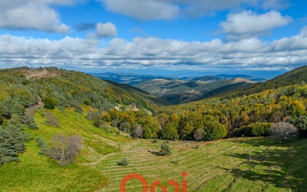 Maison à vendre    4 pièces •  Marcols-les-Eaux