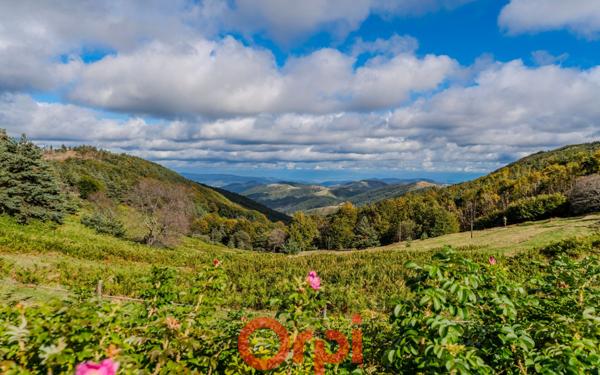 Maison à vendre    4 pièces •  Marcols-les-Eaux