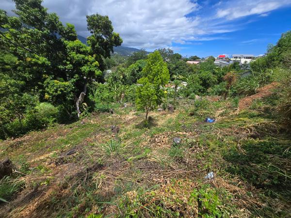 Terrain 358 m2