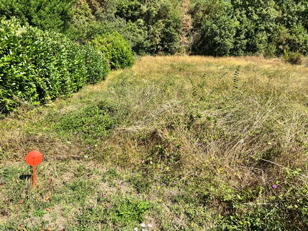 Terrain constructible de 1272 m² non viabilisé à Bourret