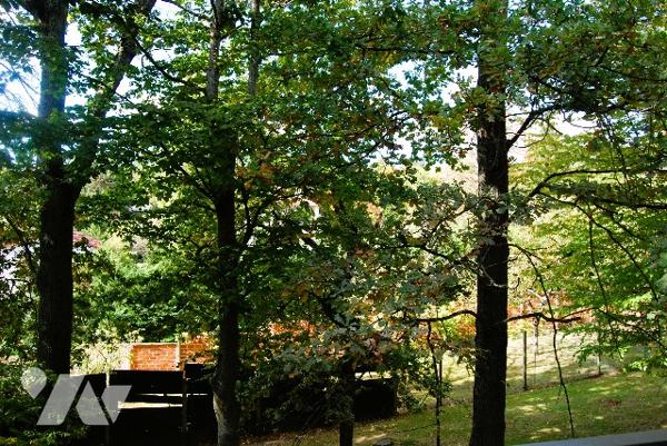 GARCHES BURES - Dans une résidence au calme un deux pièces au 1er étage avec balcon, cave, parking
