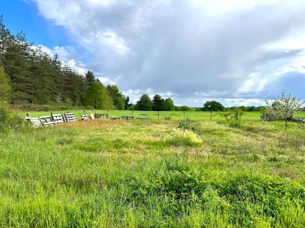 Plain-pied avec 1 ha de terrain – +140 m² utiles – jardin clôturé