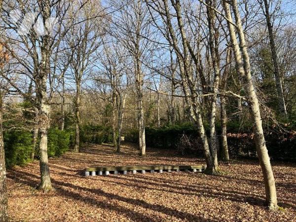 Maison à vendre à Bar sur Seine  (10110), AUBE. Pavillon traditionnel sur sous-sol total, 153 m...