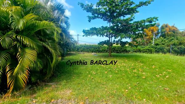 Maison à LE MARIN (97290)