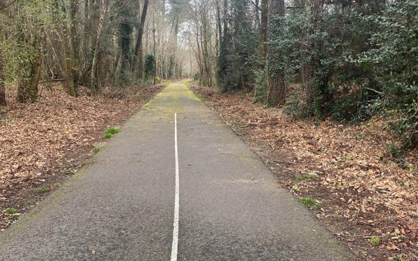 Terrain à vendre    Vielle-Saint-Girons